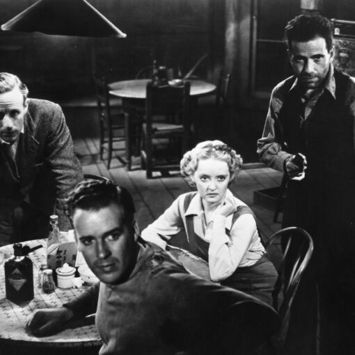 The Petrified Forest